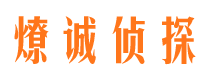 青秀情人调查